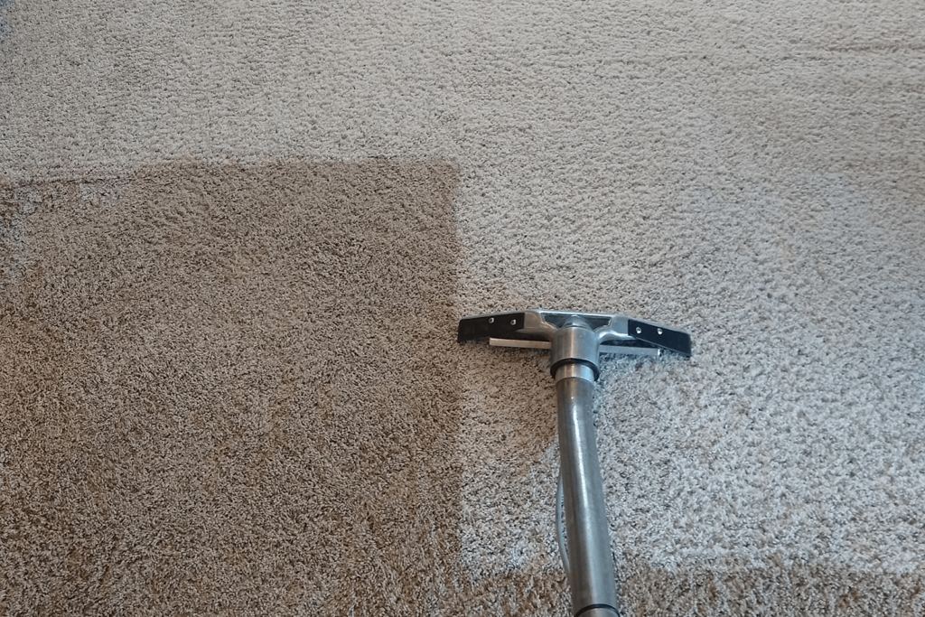 Carpet Cleaning